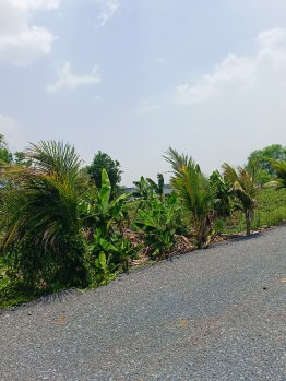 Property for sale in Datrenga, Raipur