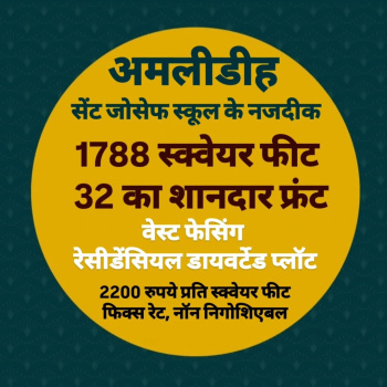 1788 Sq.ft. Residential Plot for Sale in Amlidih, Raipur