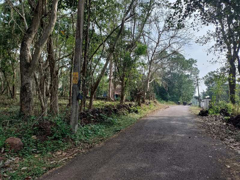 5000 Sq. Meter Residential Plot for Sale in Siolim, Bardez, Goa