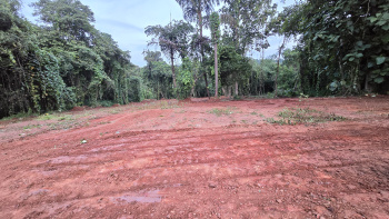 2500 Sq. Meter Residential Plot for Sale in Salvador Do Mundo, Bardez, Goa