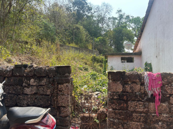 1 BHK Individual Houses for Rent in Moira, North Goa, Goa (245 Sq. Meter)