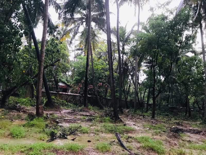 Land with Old House for Sale in Saligaon - Goa