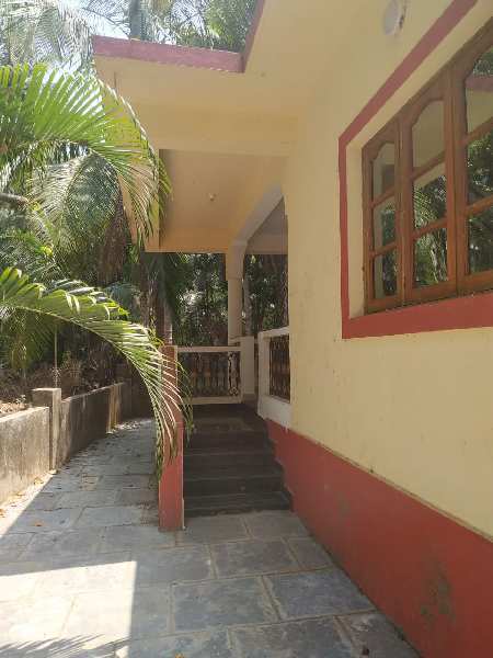 Independent House for Lease in Morjim