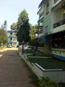 1 BHK Flats & Apartments for Rent in Calangute, Goa (40 Sq. Meter)
