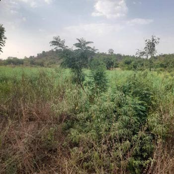 Property for sale in Bagdal, Bidar