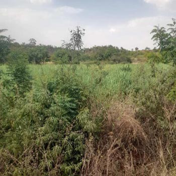 Property for sale in Bagdal, Bidar