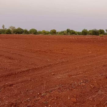 20 Acre Agricultural/Farm Land for Sale in Homnabad, Bidar
