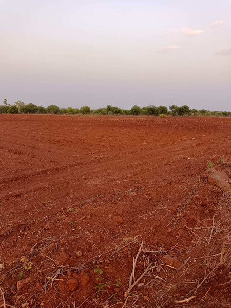 20 Acre Agricultural/Farm Land For Sale In Homnabad, Bidar
