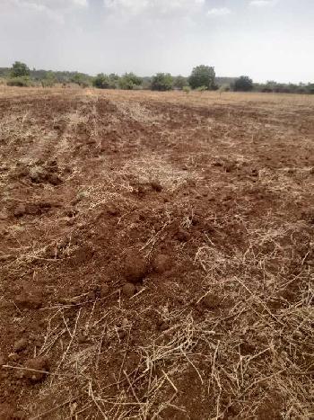 2.20 Acre Agricultural/Farm Land for Sale in Basavakalyan, Bidar