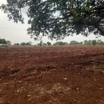 Property for sale in Sirkatnalli, Bidar