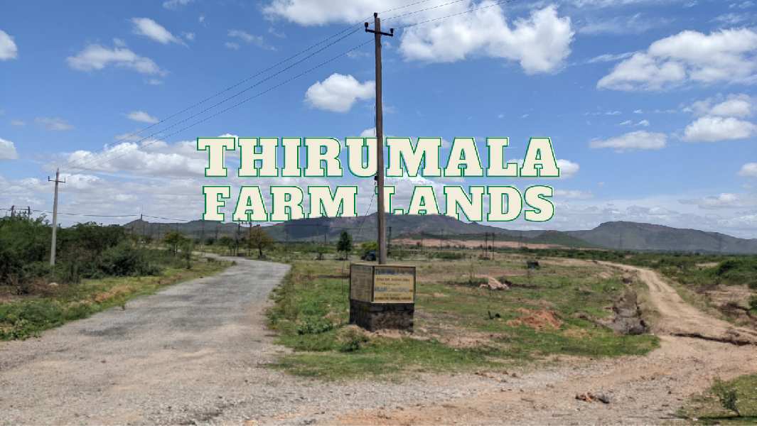 TIRUMALA FARMLAND-Farm Land For Sale In Cowl Bazaar, Bellary