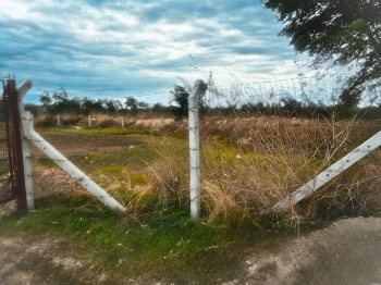 Agricultural Land for Sale – Moka Bommnal Bypass, Near Chatragudi