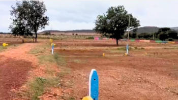 PLOT FOR SALE IN BELGAL TANDA ROAD