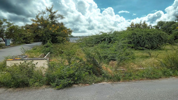 Residential Plot for Sale in Ballari, Bellary (2500 Sq.ft.)