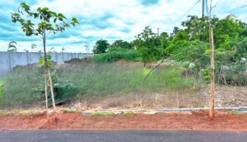 Residential Plot for Sale in Ballari, Bellary (1372 Sq.ft.)