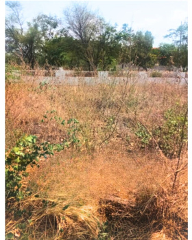 PLOT FOR SALE IN DODDA BASAVESHWAR NAGAR