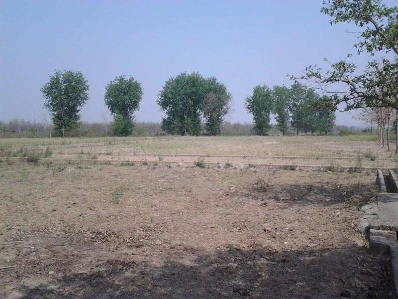 30 Bigha Farm Land with 3BHK House near Chandi Devi Mandir, Haridwar