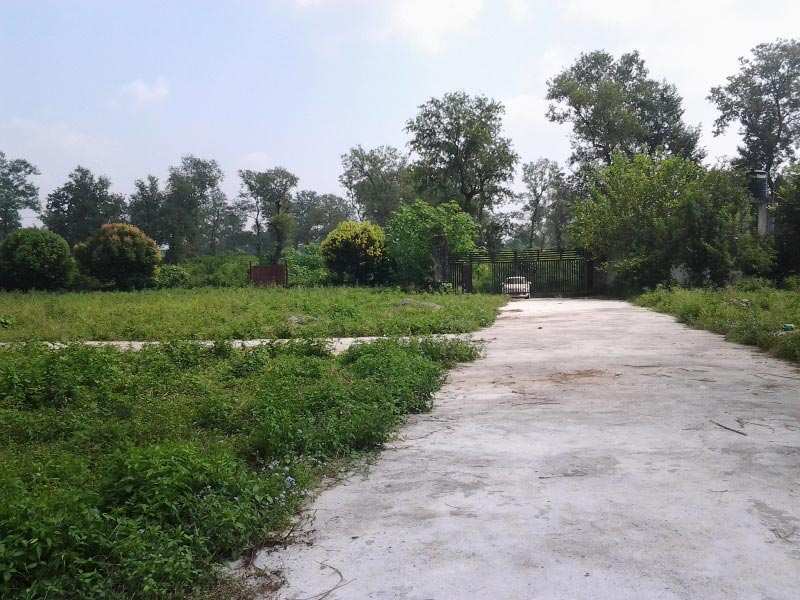 200 sqyds Residential plot near IMA, Dehradun