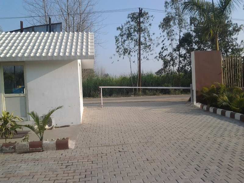 3 BHK Individual Houses / Villas for Sale in Haridwar (1850 Sq.ft.)