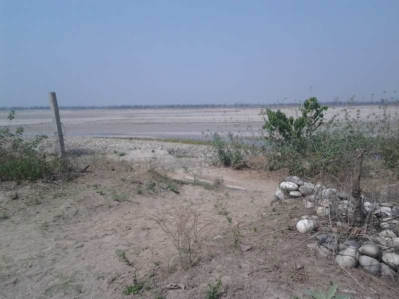 Agricultural/Farm Land for Sale in Shyampur, Haridwar (8 Bigha)