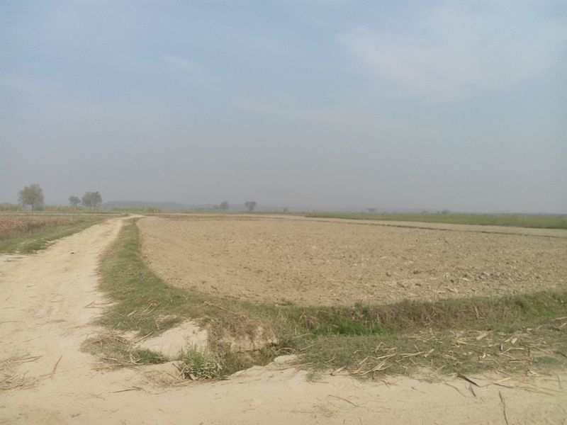 Farm Land for Sale in Laksar, Haridwar (100 Bigha)