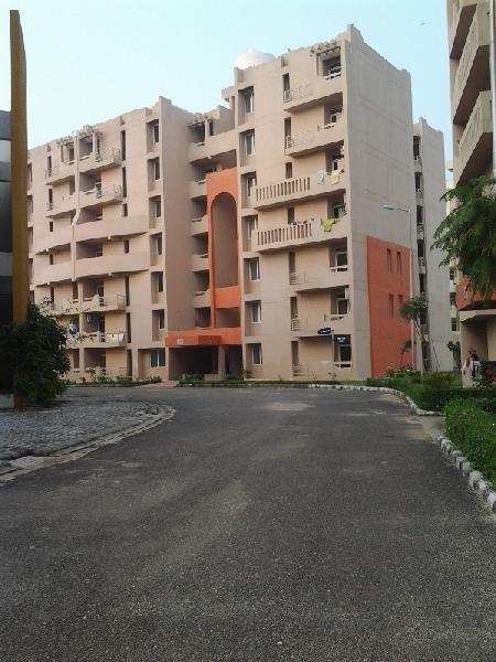 3 BHK Flats & Apartments for Rent in Sidcul, Haridwar (1484 Sq.ft.)