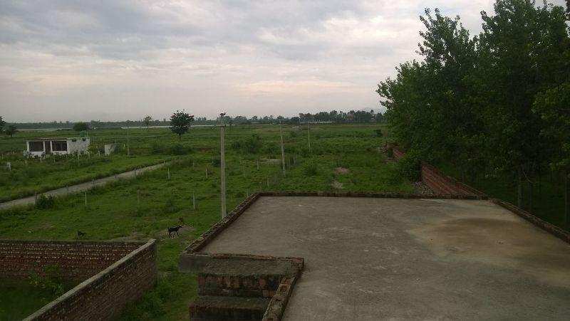 Farm Land for Sale in Shyampur, Haridwar (8 Bigha)