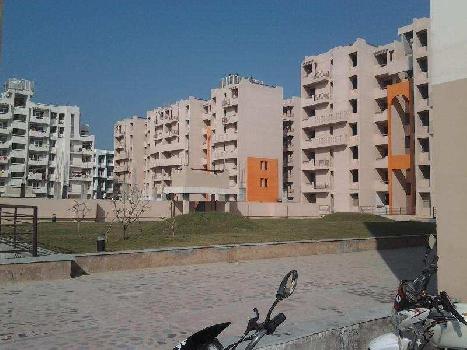 3 BHK Flats & Apartments for Sale in Sidcul, Haridwar (1484 Sq.ft.)