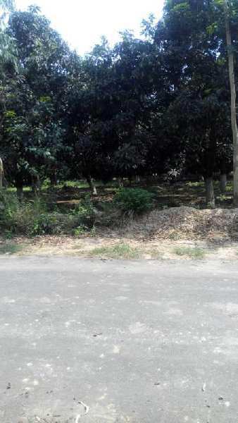 Agricultural/Farm Land for Sale in Haridwar (10 Bigha)