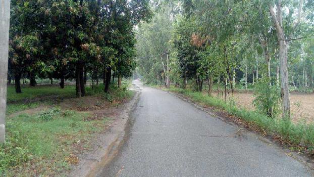 Property for sale in Imlikhera, Haridwar
