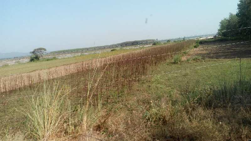 Agricultural Land near Ganga ji for Ashram , Farm house