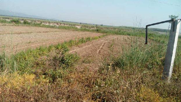 Property for sale in Katarpur Alipur, Haridwar