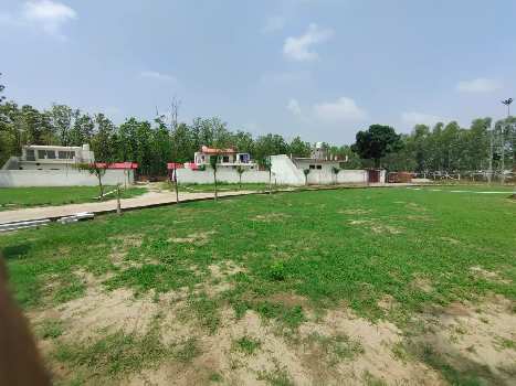Residential Plot for Sale in Saharanpur Road, Dehradun (544 Sq. Yards)