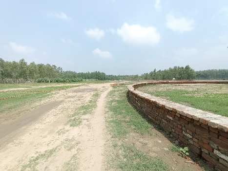 Residential Plot for Sale in Saharanpur Road, Dehradun (100 Sq. Yards)