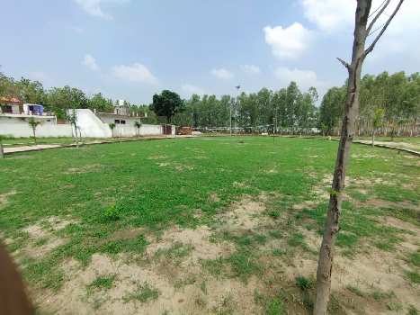 Residential Plot for Sale in Saharanpur Road, Dehradun (165 Sq. Yards)