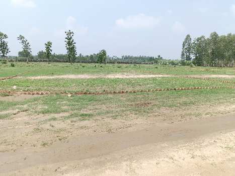 Residential Plot for Sale in Saharanpur Road, Dehradun (165 Sq. Yards)