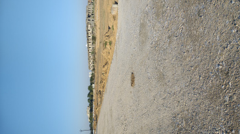 Residential Plot for Sale in Ajmer Road Ajmer Road, Jaipur (222 Sq. Yards)