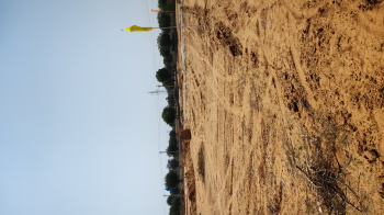 Residential Plot for Sale in Bindayaka, Jaipur (88 Sq. Yards)