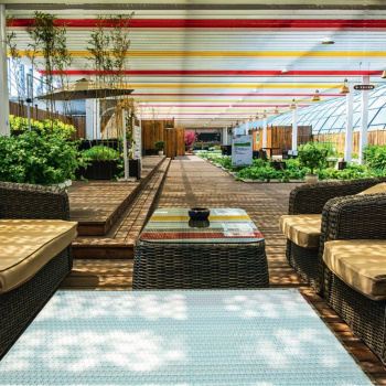 Residential Plot for Sale in Dholera, Ahmedabad (200 Sq. Yards)