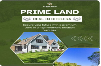 Residential Plot for Sale in Dholera, Ahmedabad (7138 Sq.ft.)