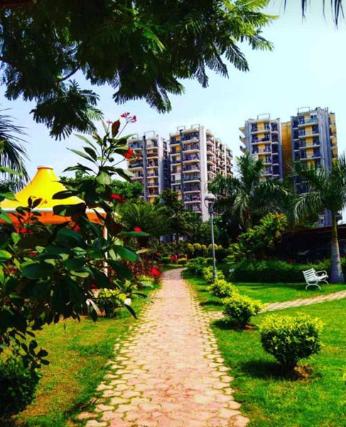 Luxurious 3 bhk apartments for sale in Chandigarh