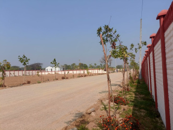 1000 Sq. Yards Agricultural/Farm Land for Sale in Kalwar, Jaipur