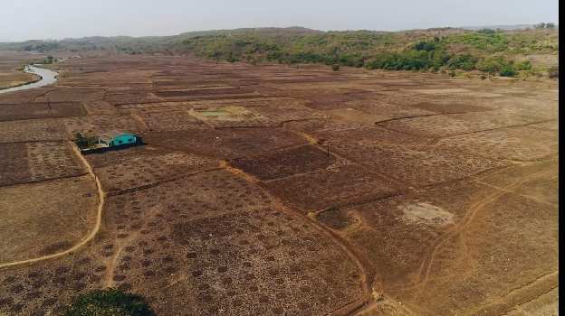 Residential Plot For Sale In Chirle, Navi Mumbai (1089 Sq.ft.)