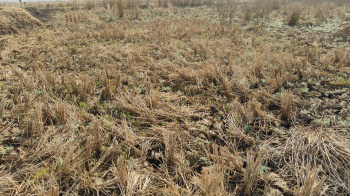 Property for sale in Sarde, Raigad