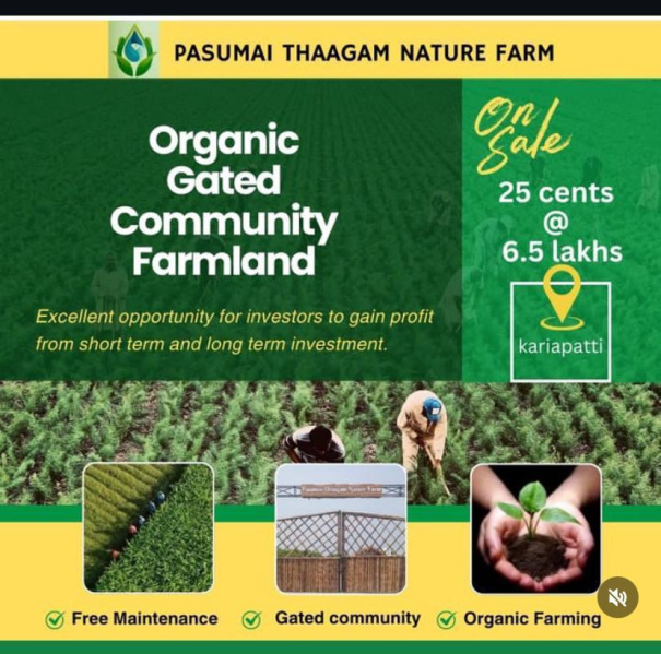 Agricultural/Farm Land For Sale In Kariapatti, Virudhunagar (25 Cent)