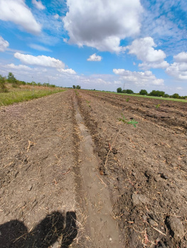 4 Acre Agricultural/Farm Land for Sale in Perali Road, Virudhunagar