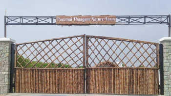Agricultural/Farm Land for Sale in Kariapatti, Virudhunagar (4 Acre)