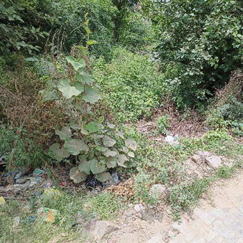 165 Sq. Yards Residential Plot for Sale in Nalhar, Nuh