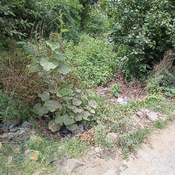 Plot in yards on rod behind Balaji Petrol Pump for only Rs.15500/-