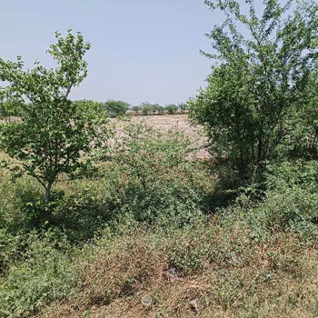 Now buy farm land in acre in Nuh for only Rs 40 lakhs